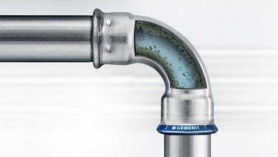 Biofilm dans le système d'eau potable