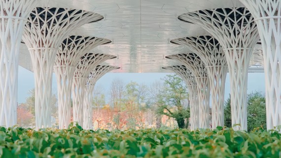 Lungo lo spettacolare edificio è stato creato un giardino di quasi 300 m² (© Alek Małchowski)